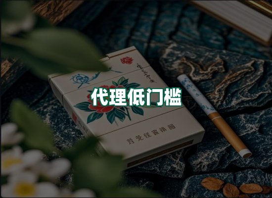 核心优势